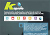 Kapsule vision